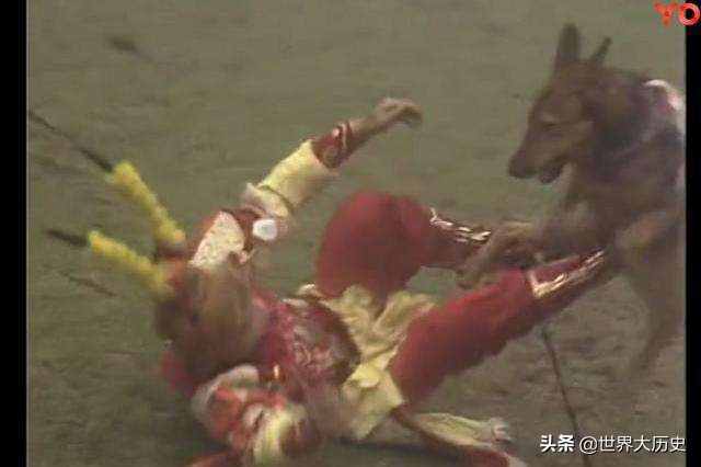 杨戬的哮天犬是中华田园犬吗,杨戬的哮天犬是什么来历