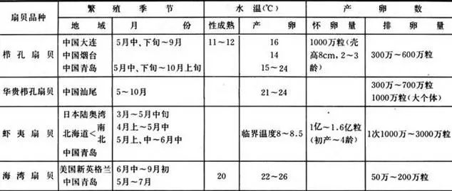 假如扇贝没有跑路,如果扇贝肉没清理干净吃会怎么样