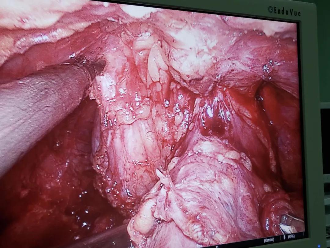 常春藤医疗联盟,常春藤医学联盟