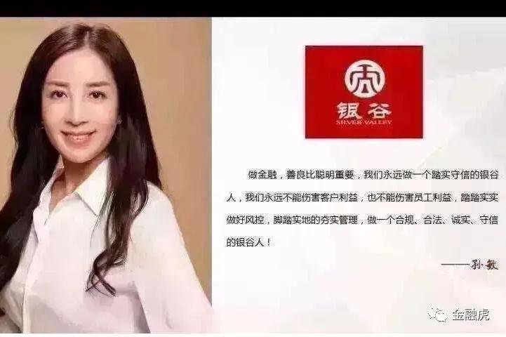 银谷在线涉嫌非法集资被立案侦查,银谷最近被抓的人