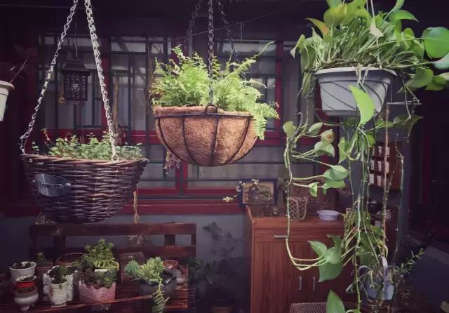 平房小户型房屋改造,40平出租房改造图片