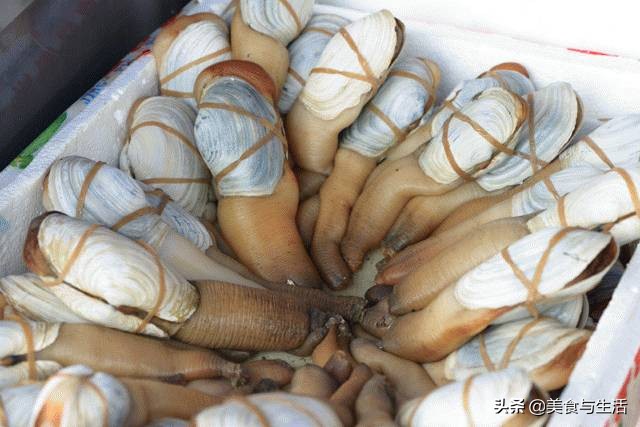 中国十大顶级大型海鲜市场在哪里,全国各大海鲜市场现状