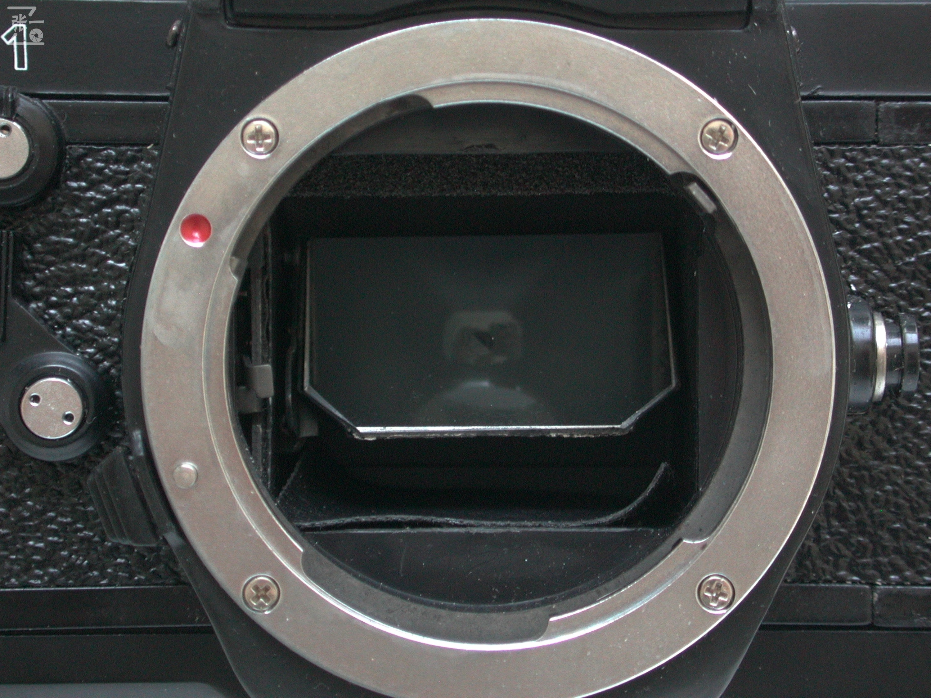 中国哈尔滨照相机厂生产的SEAMADZ2-1单反照相机