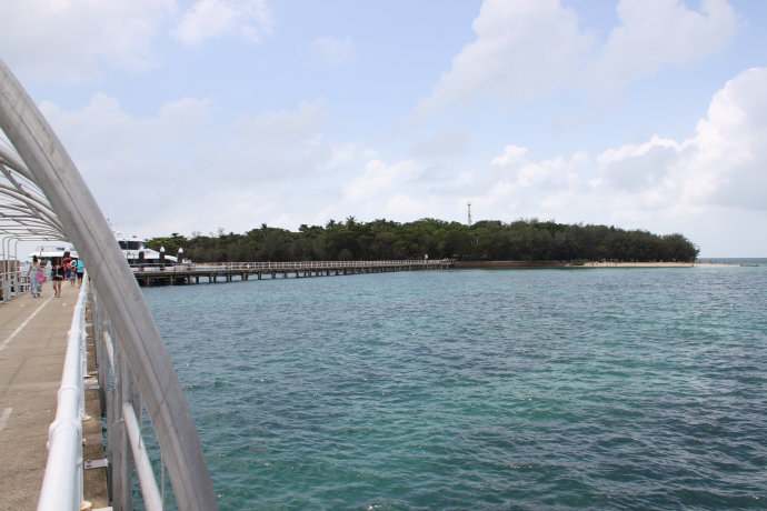 澶у牎绀佺儹姘旂悆,澶у牎绀佹捣娲嬬悆