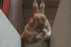 去除陈年深黑头,清理黑头哪家强