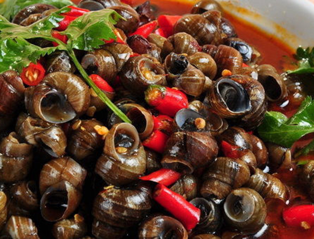 得寄生虫的狗狗可以吃什么,有寄生虫的食物千万不要吃