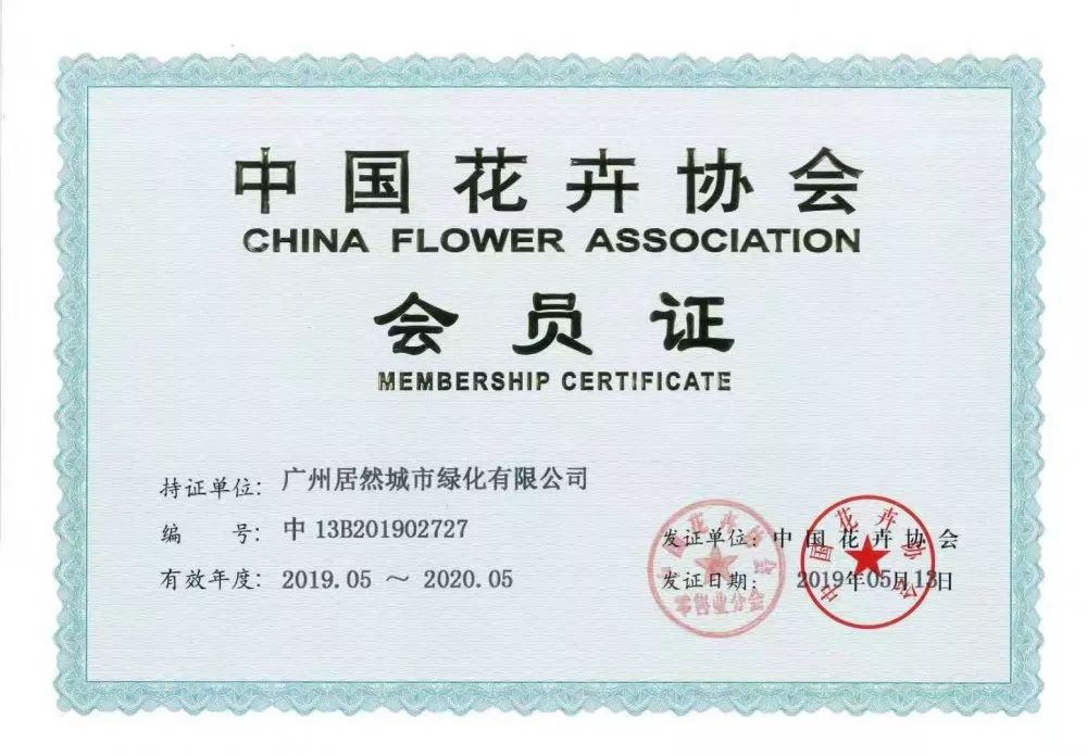 君子兰盆栽几月份换盆最好,绿植君子兰换土时间及方法