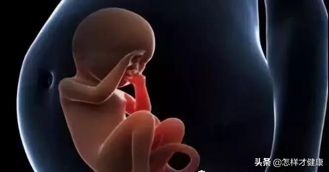 为什么要做胎儿心脏检查,三维正常还要做胎儿心脏超声吗