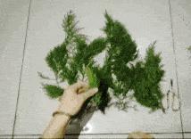 用泥巴做什么生意赚钱,小作坊做泥巴的生意