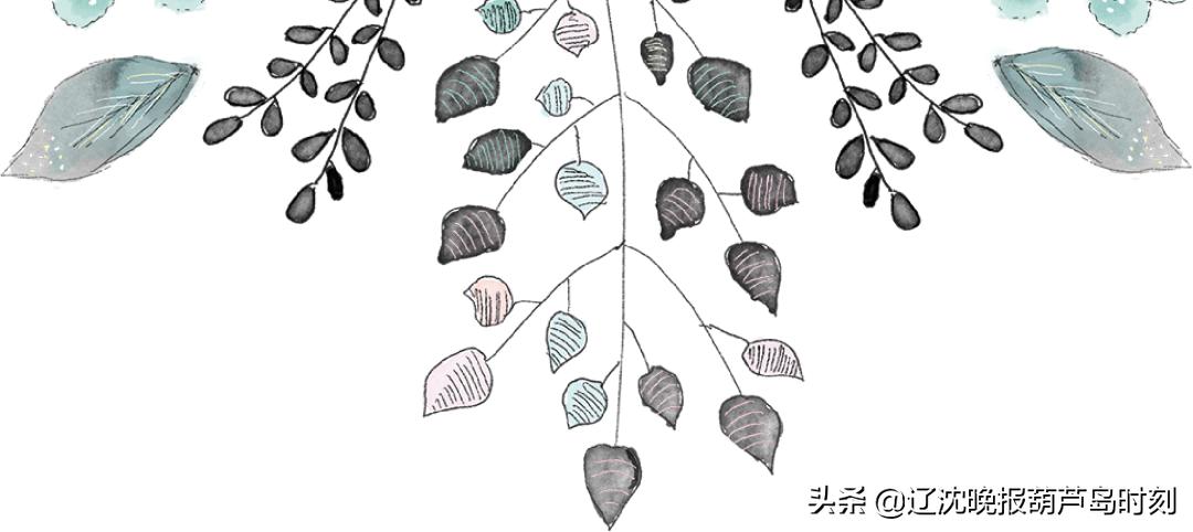 我们开园啦视频,葫芦岛幼儿园一园