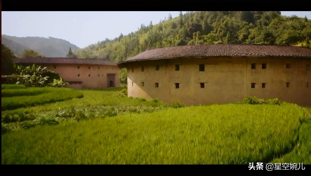 花木兰电影中肯的评价,花木兰电影为什么评分低