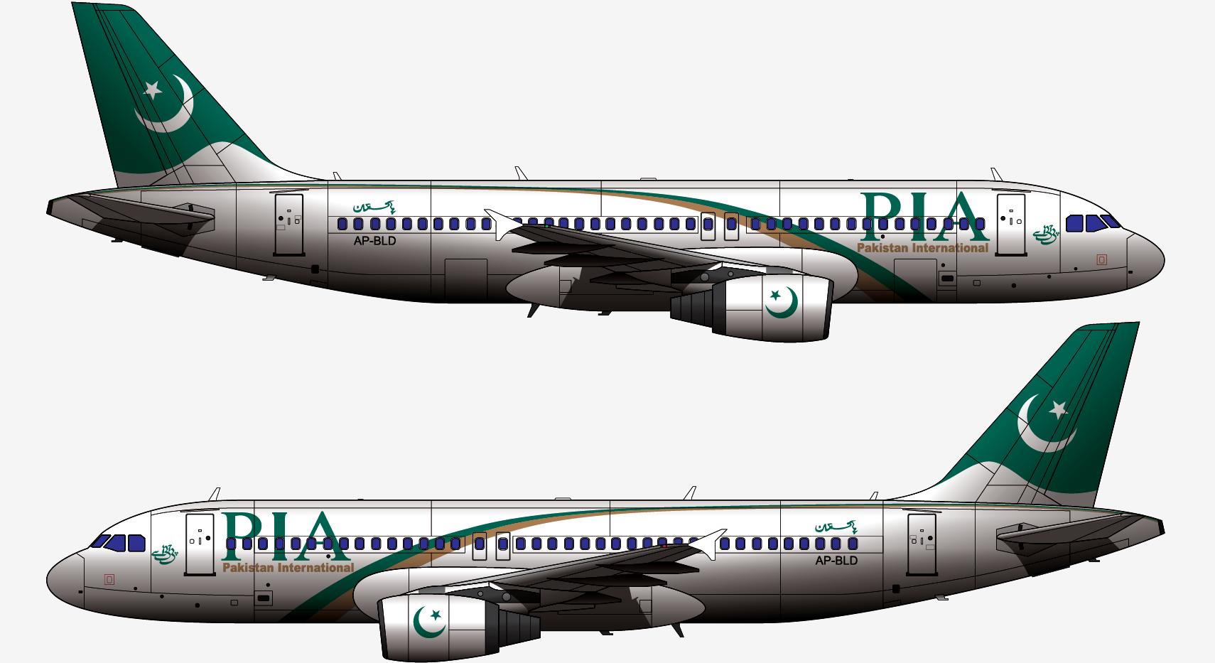 卡拉奇空难事件,巴基斯坦国际航空287号班机空难