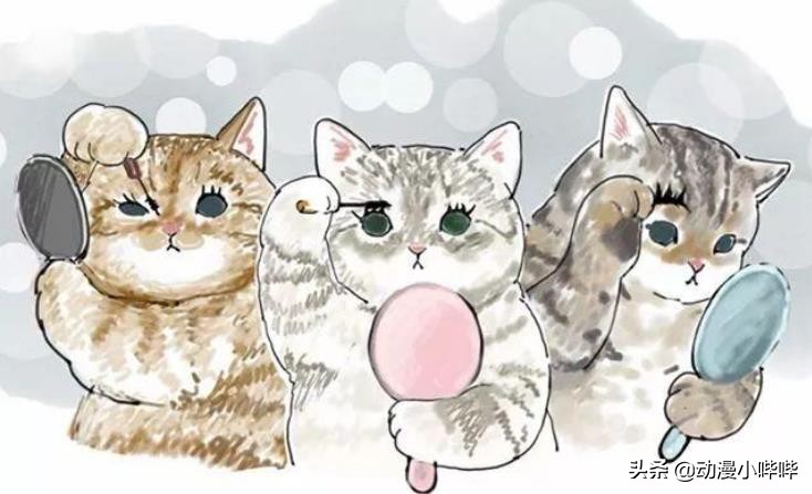 猫拟人韩国画师,画师将猫咪拟人化好可爱呢