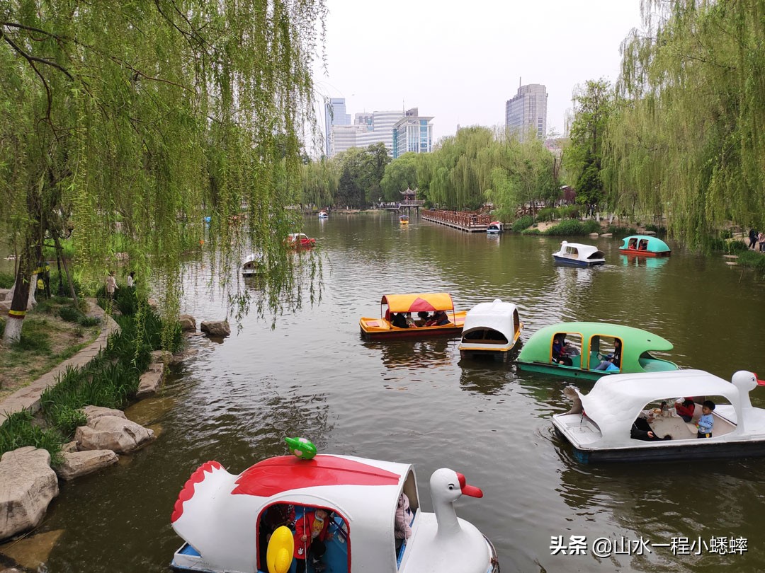 长安公园不愧是石家庄公园老大，牡丹花开真国色,游人如织来长安