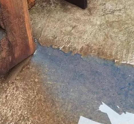 名贵木材鉴赏之大果紫檀,名贵木材鉴赏