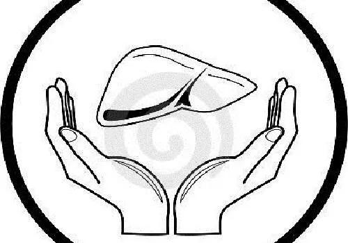 妊娠肝功能异常是挂什么科,妊娠肝功