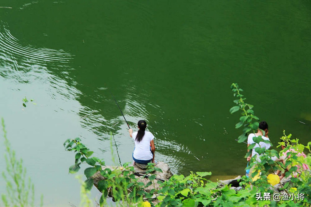 夏天用什么味型的酒米打窝,麝香味打窝酒米