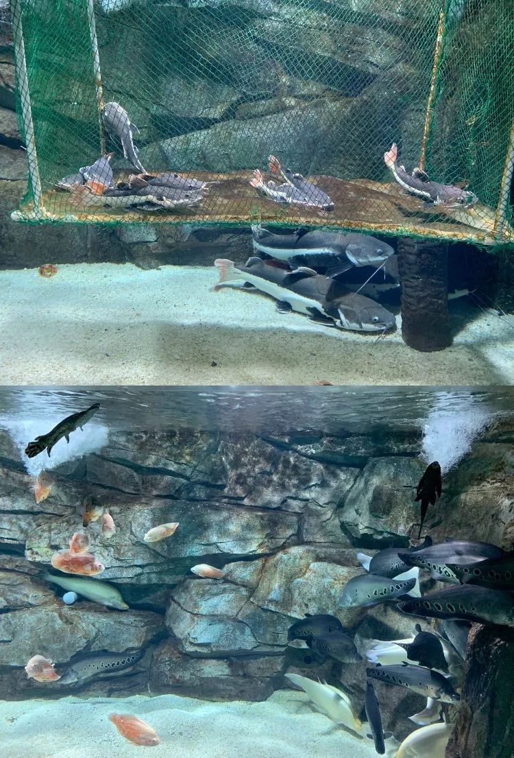 山东百强县2021年排名,山东2021百强县排名榜