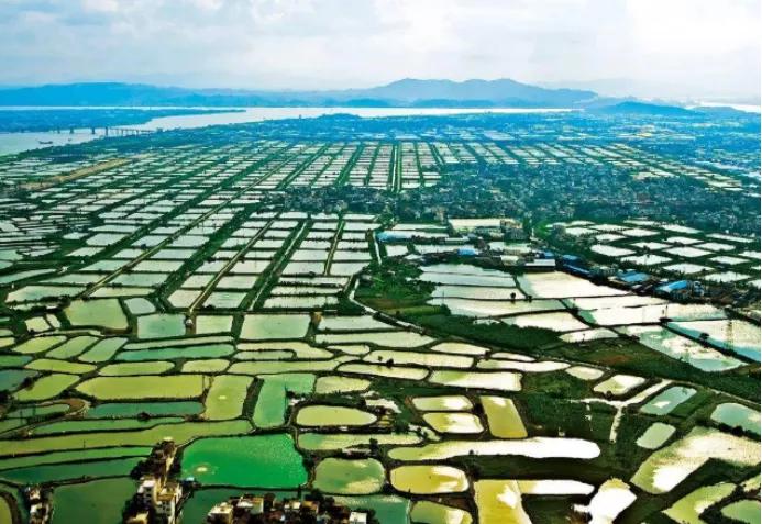 广州双枪失窃案：缝纫机厂和部队同时丢枪，警方如何顺藤摸瓜？