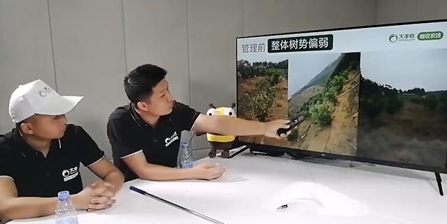 价格低迷柑橘如何破局,柑橘价格低谷期怎样投资