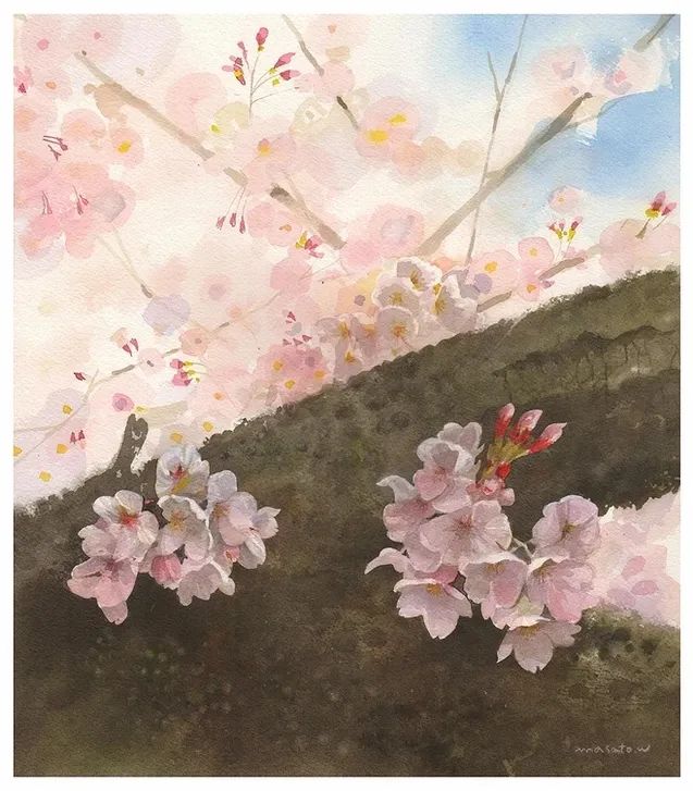 水彩大师笔下的花卉,简单唯美的水彩花卉