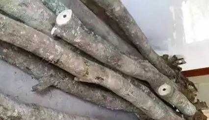 海南黄花梨油梨与糠梨纹路区分,黄花梨油梨和糠梨