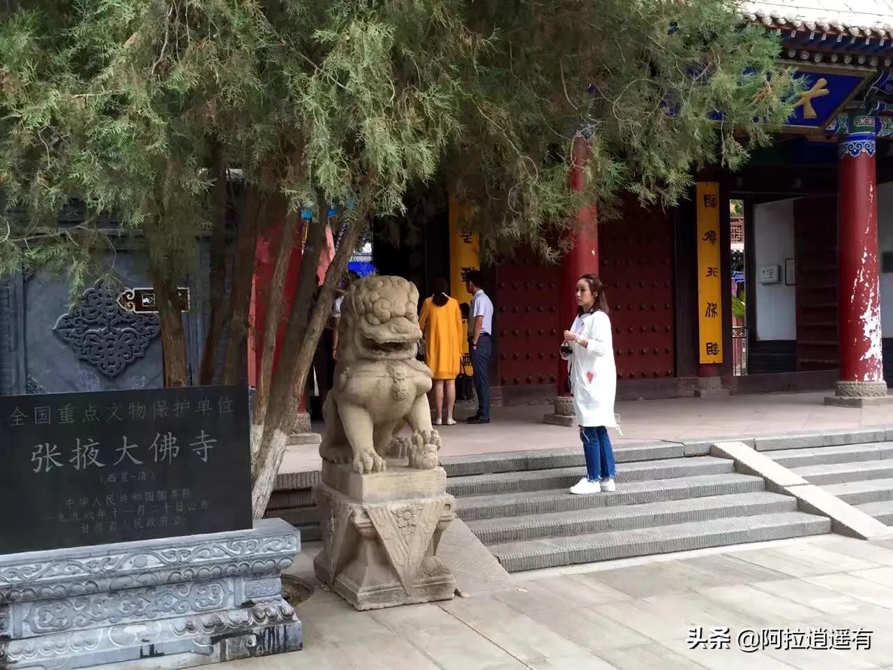 青海湖旅游小环线攻略路线推荐,暑假青海湖三日游旅游攻略