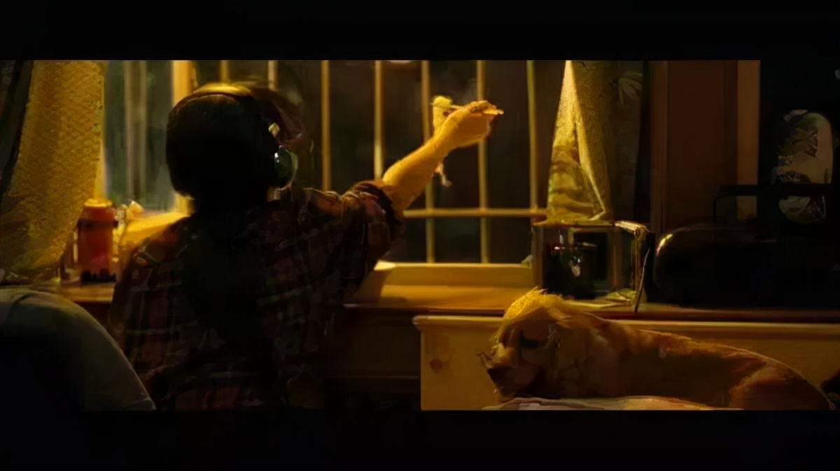 养的狗被奶奶10元卖掉了后续,养两年的狗被奶奶10元卖掉