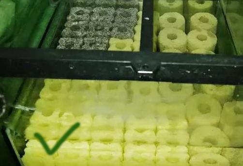 鱼缸过滤培菌效果最好的方式,鱼缸过滤培菌屋起什么作用