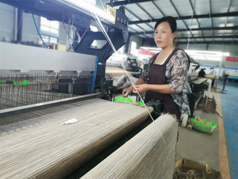 睢宁乡村振兴,江苏省徐州睢宁农业示范区