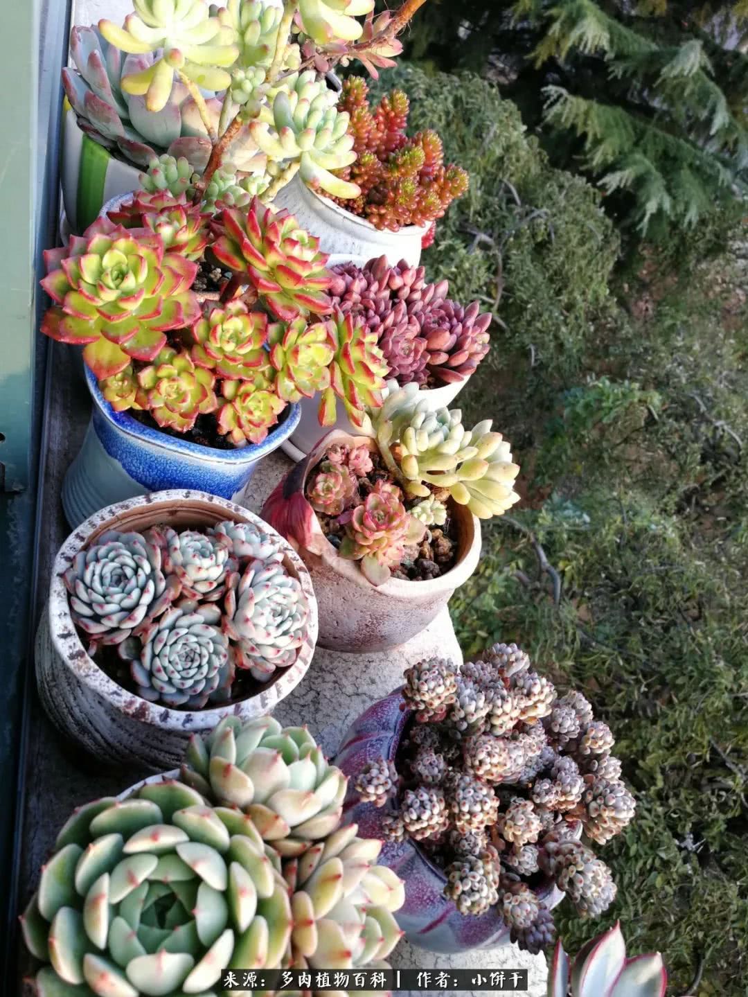 无肉不欢的肉瘾少女，日日沉迷于美色无法自拔！