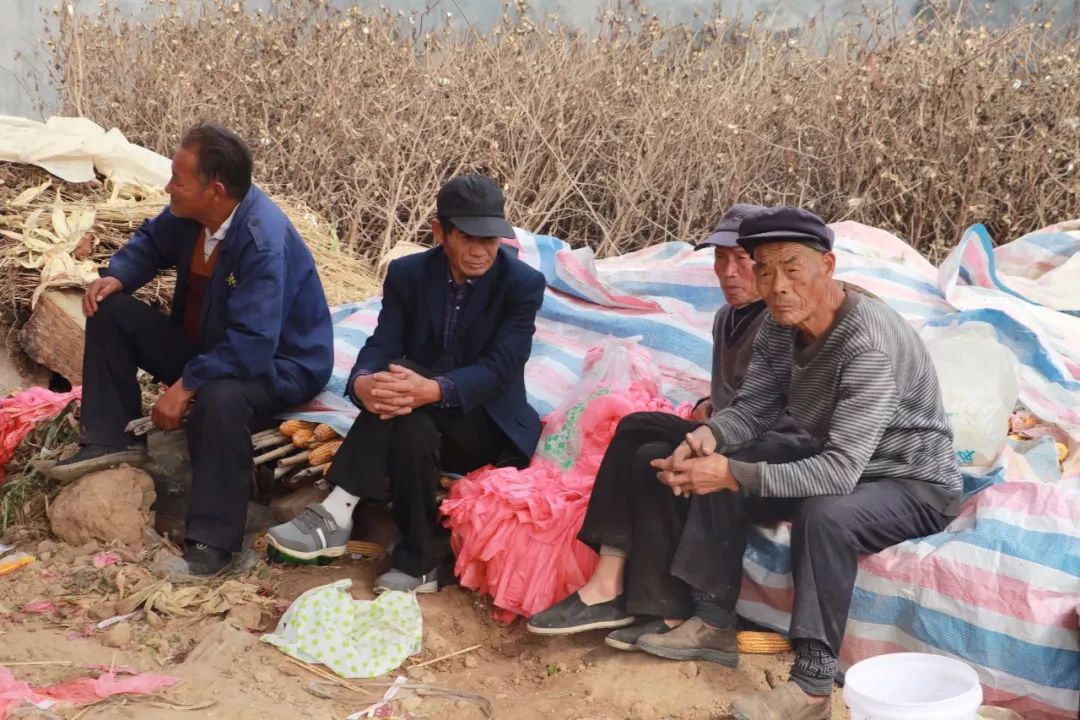 农村串门习俗视频,农村儿时串门的讲究