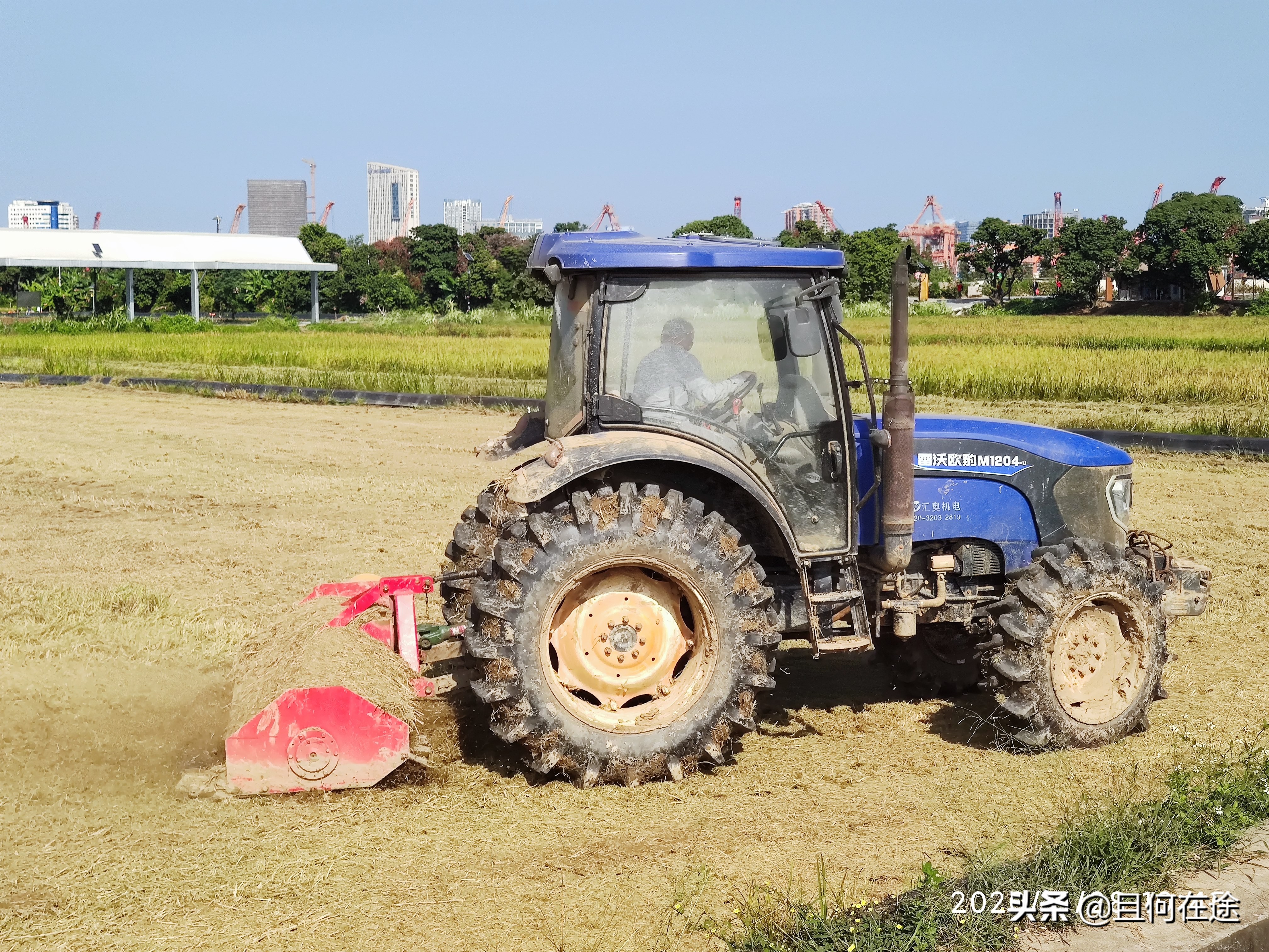为什么要把饭碗牢牢端在自己手中,怎样才能把自己饭碗端在自己手里
