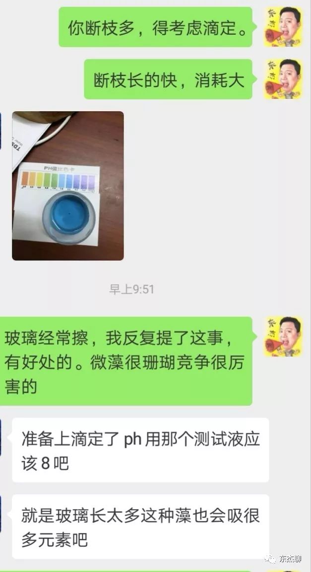 海水鱼缸里有很多虫,海水鱼缸为什么有绿藻