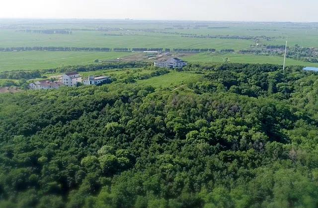 假如虫草会说话——访蛹虫草