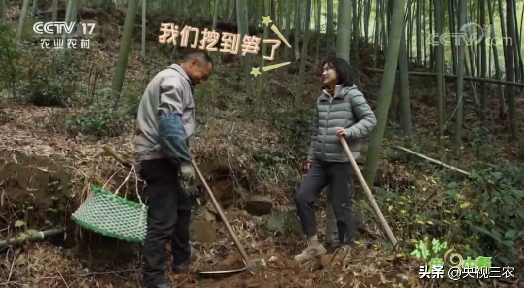 冬笋炒腊肉怎么处理去除涩味,湖南腊肉冬笋怎么做才不会有涩味