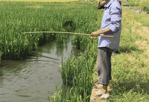 农村最赚钱的创业项目是,2022年农村创业致富的好项目