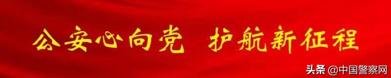 涉嫌组织28人他人偷越国境怎么判,组织他人偷越国境获刑7年4个月