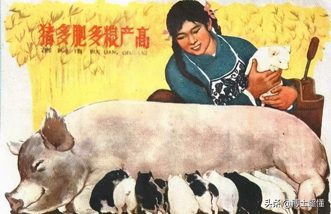 美国控制了中国养猪业吗,中国生猪被美国垄断吗