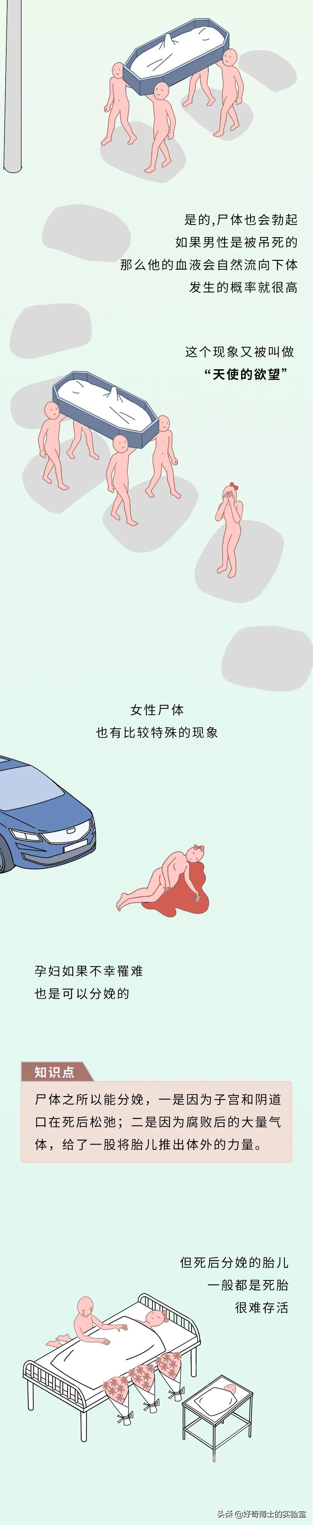 没有人比我更懂原话英文,没有人比我更懂鬼畜原版