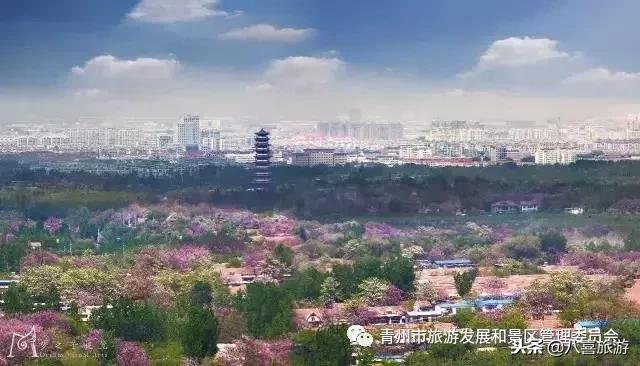 青州市旅游攻略一日游,2018年青州市旅游