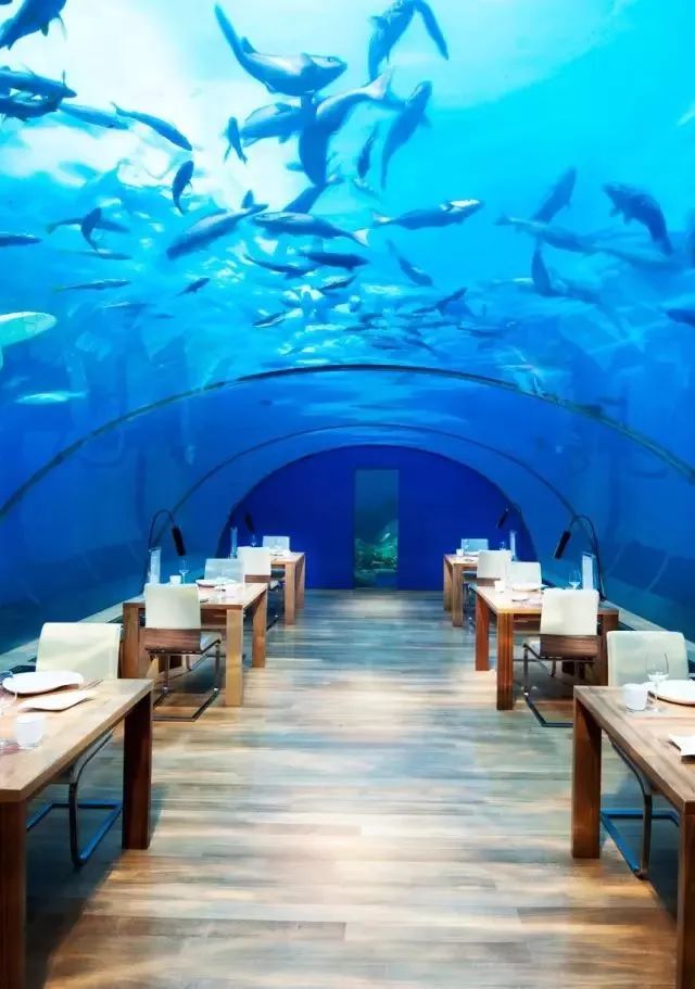 网络上90%的旅行攻略，都是用来坑人的！你被坑过吗？