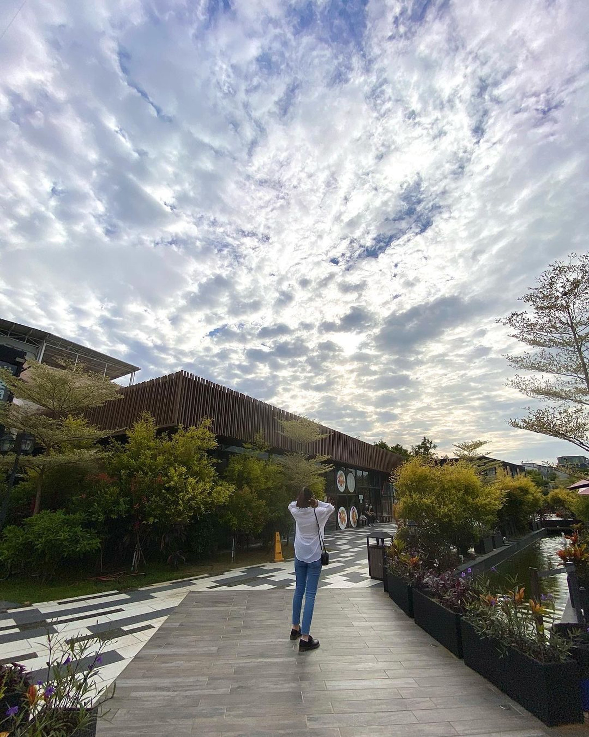 百年树屋，天空之镜，红砖市集，跳蚤市场…尽在锦田