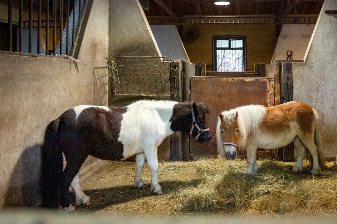 最新路虎卫士越野车,路虎卫士固特异at胎