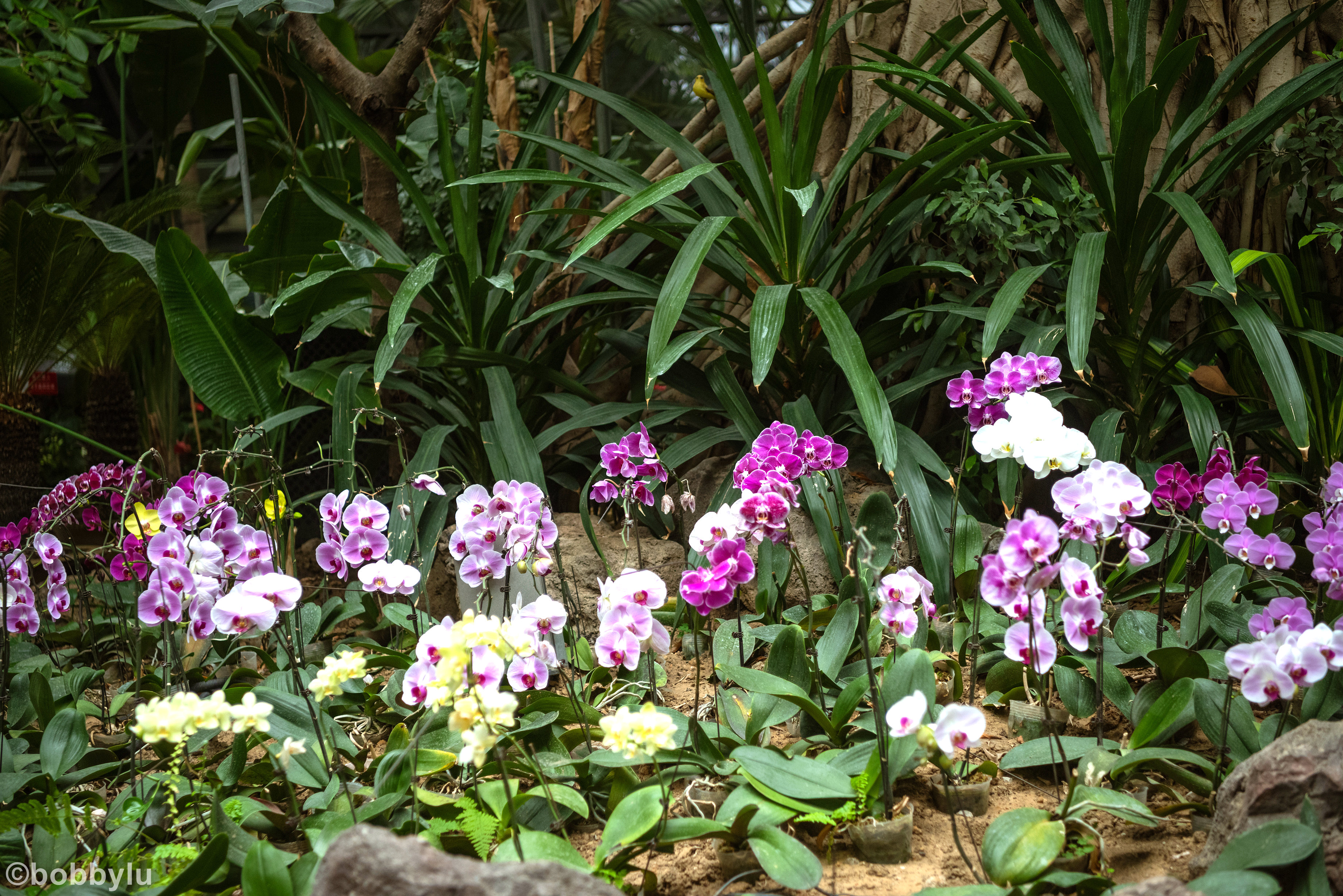 看城市变化蝶变融城,工业城市转型旅游城市