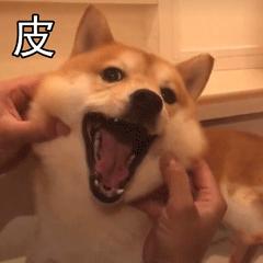 同学生活中搞笑的段子,同学录幽默搞笑段子