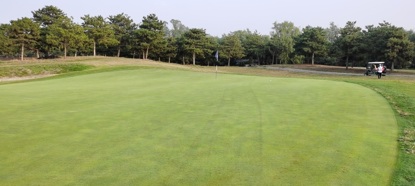 北京金帝高尔夫俱乐部露营,北京金地高尔夫