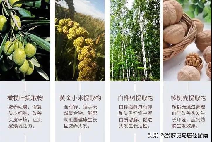 女明星染发为啥看不出褪色,为什么明星染发没多久就褪色了