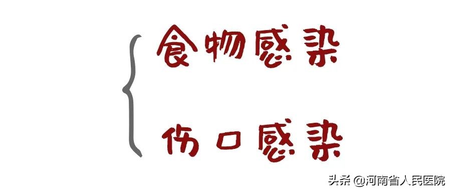 螃蟹怎么吃正确千万不要吃错了,螃蟹怎么吃对身体最好