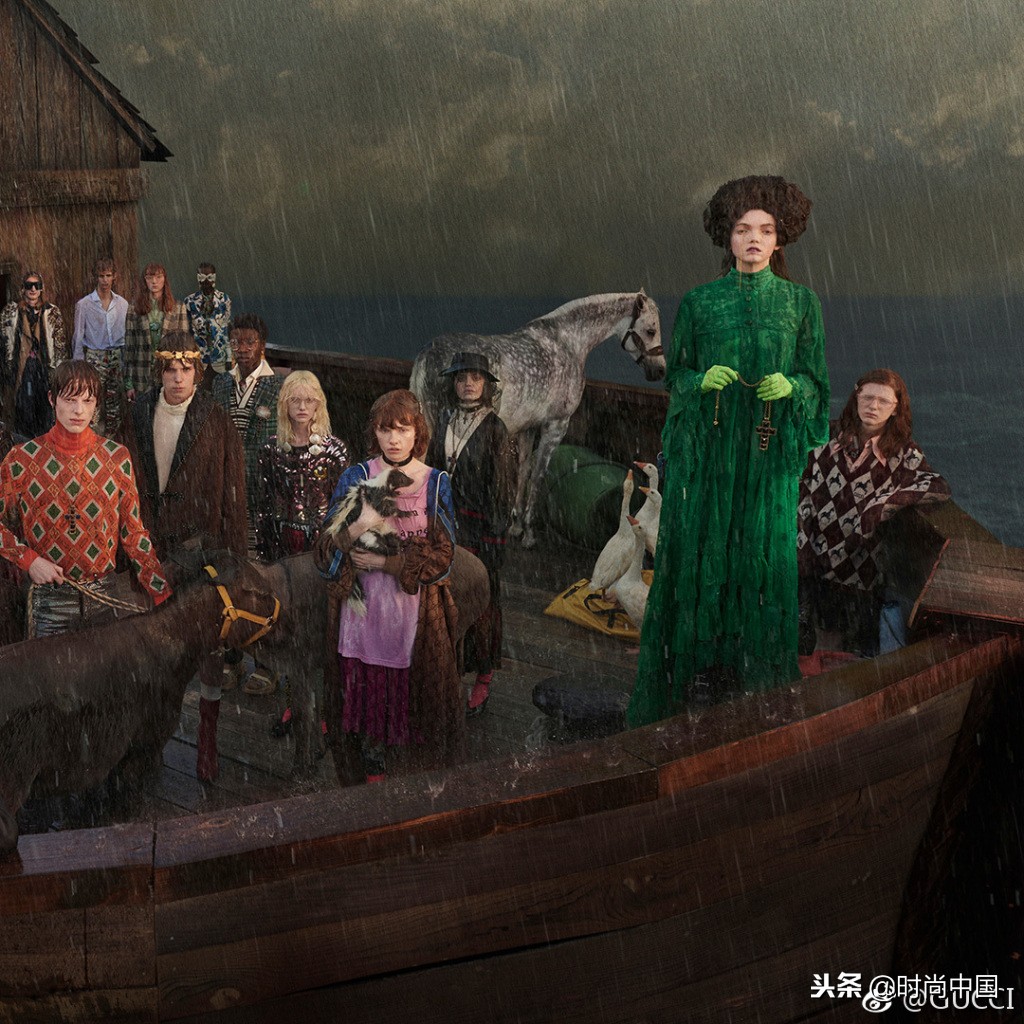 倪妮同款小猫咪,倪妮李宇春奇妙的动物